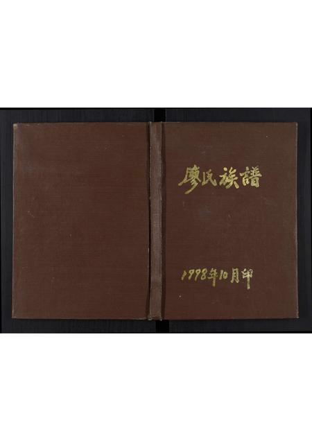 四川廖氏-廖氏族谱[不分卷].pdf电子版缩略图
