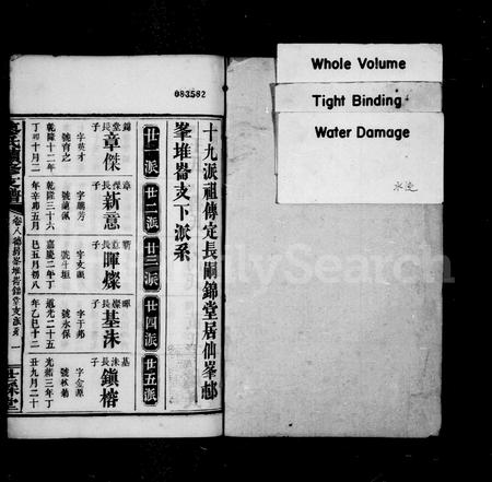 四川廖氏-资阳廖氏续修支谱.pdf电子版预览图2