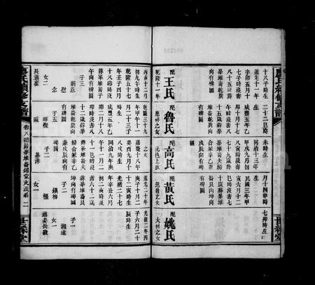 四川廖氏-资阳廖氏续修支谱.pdf电子版预览图3