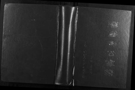 广西廖氏-廖盛泰公家谱.pdf电子版缩略图