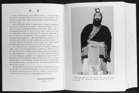 广西廖氏-廖盛泰公家谱.pdf电子版预览图3