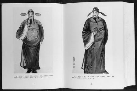 广西廖氏-廖盛泰公家谱.pdf电子版预览图4