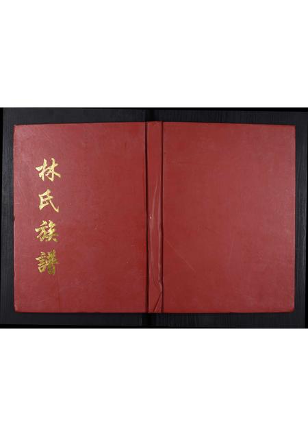 四川林氏-林氏家谱.pdf电子版缩略图