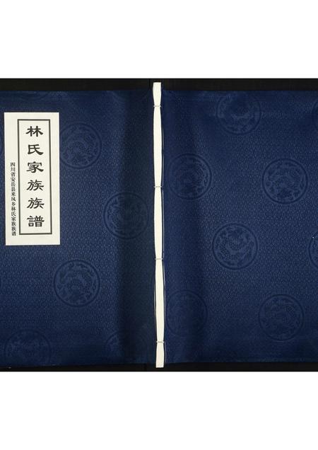 四川林氏-林氏族谱.pdf电子版缩略图