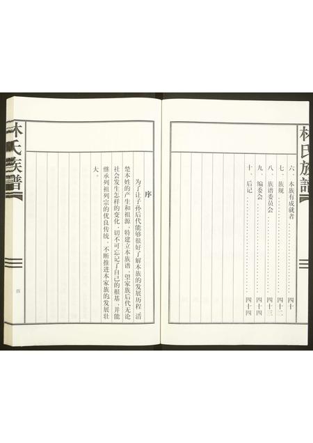 四川林氏-林氏族谱.pdf电子版预览图4