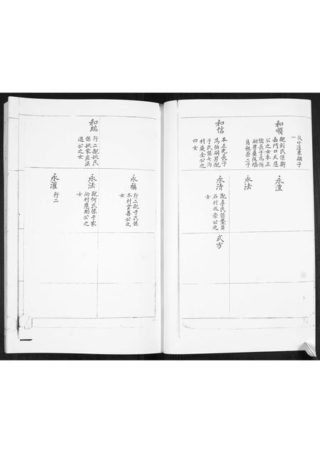 山东林氏-即墨林氏世谱[不分卷].pdf电子版预览图2