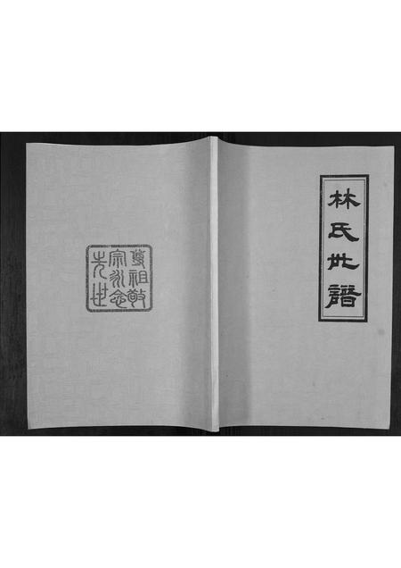山东林氏-林氏世谱[不分卷].pdf电子版缩略图