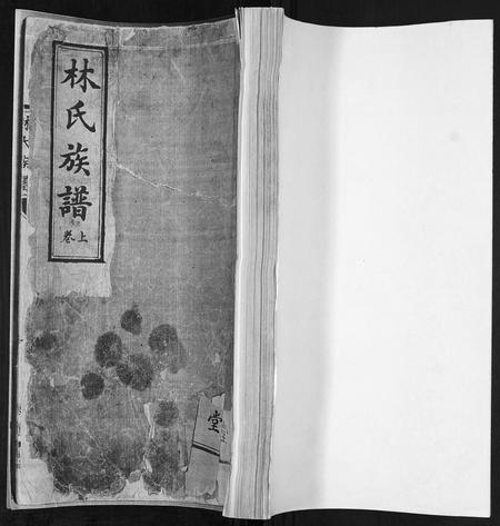 山东林氏-林氏族谱[2卷].pdf电子版缩略图