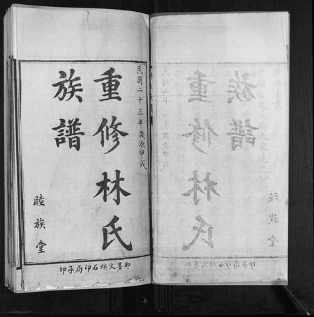 山东林氏-林氏族谱[2卷].pdf电子版预览图2