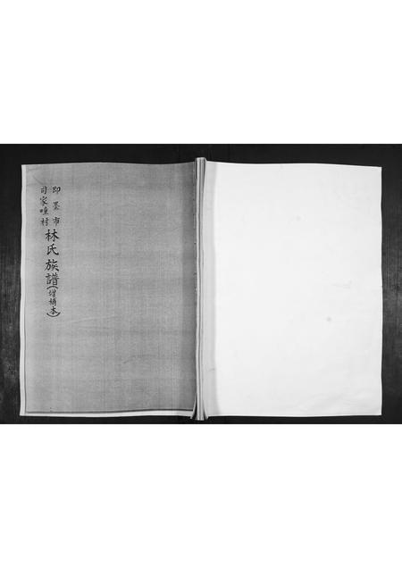 山东林氏-林氏族谱[不分卷].pdf电子版缩略图