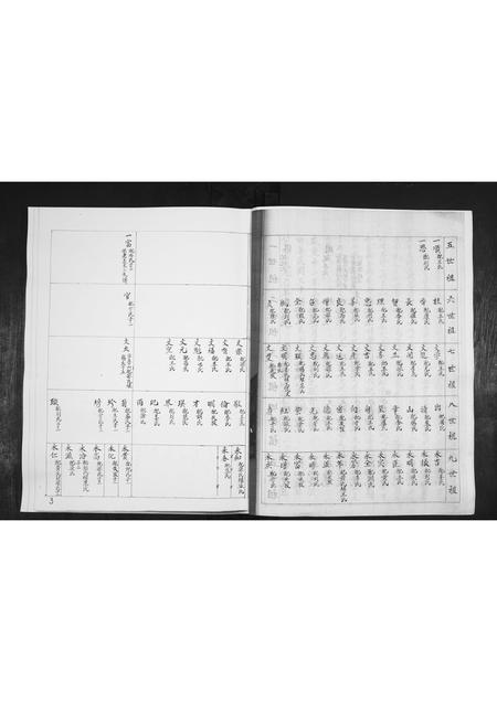 山东林氏-林氏族谱[不分卷].pdf电子版预览图2