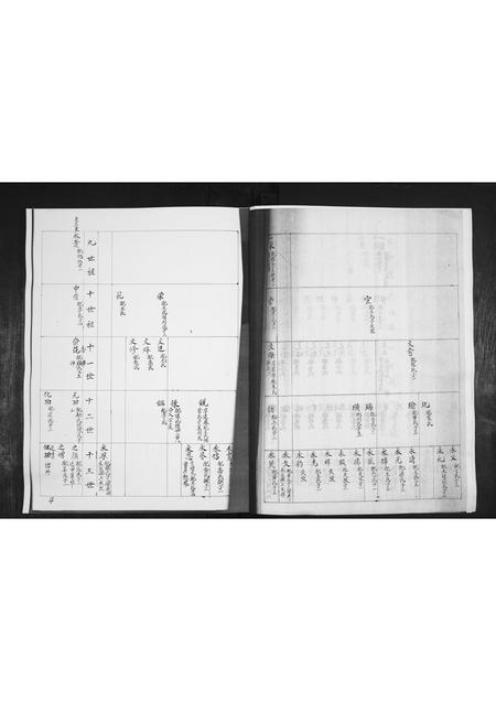 山东林氏-林氏族谱[不分卷].pdf电子版预览图3