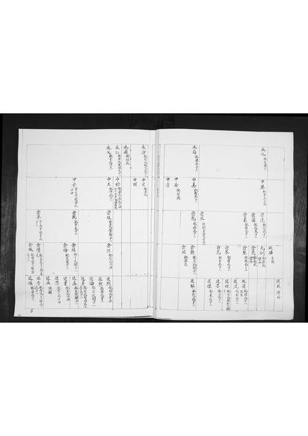 山东林氏-林氏族谱[不分卷].pdf电子版预览图4