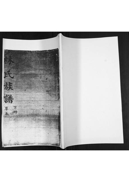 山东林氏-林氏族谱[不分卷].pdf电子版缩略图