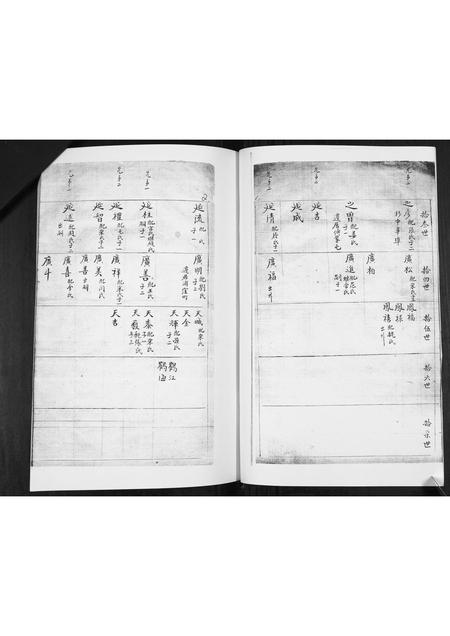 山东林氏-林氏族谱[不分卷].pdf电子版预览图1