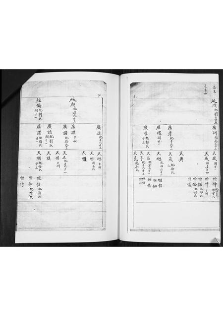 山东林氏-林氏族谱[不分卷].pdf电子版预览图2