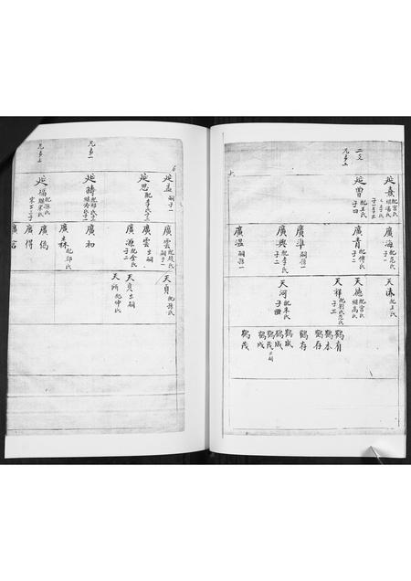 山东林氏-林氏族谱[不分卷].pdf电子版预览图3