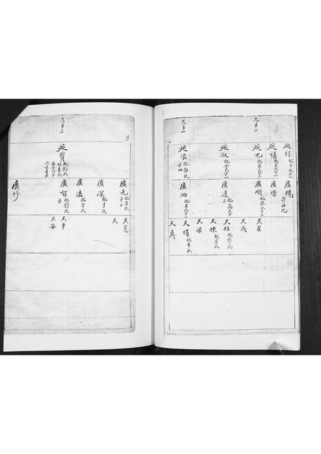 山东林氏-林氏族谱[不分卷].pdf电子版预览图4