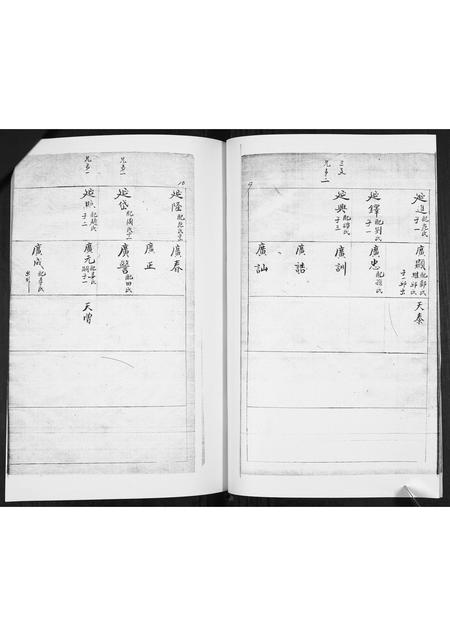 山东林氏-林氏族谱[不分卷].pdf电子版预览图5