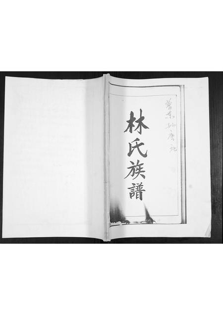 山东林氏-林氏族谱[不分卷].pdf电子版缩略图