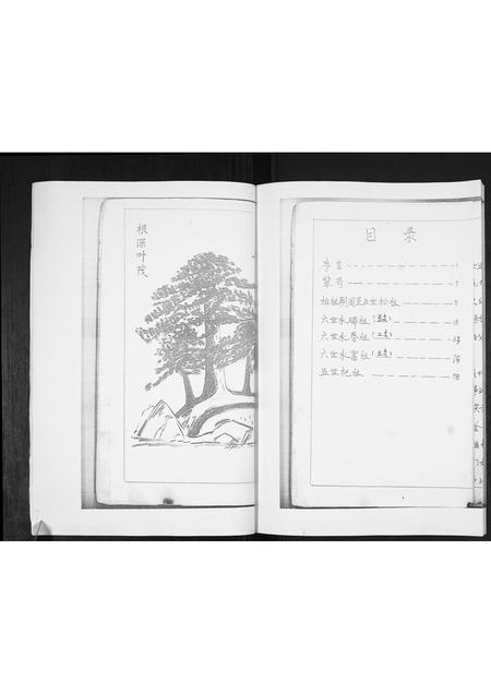 山东林氏-林氏族谱[不分卷].pdf电子版预览图3