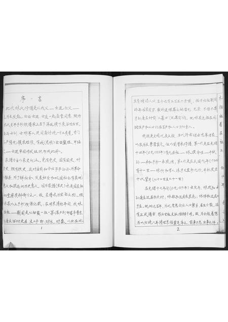 山东林氏-林氏族谱[不分卷].pdf电子版预览图4