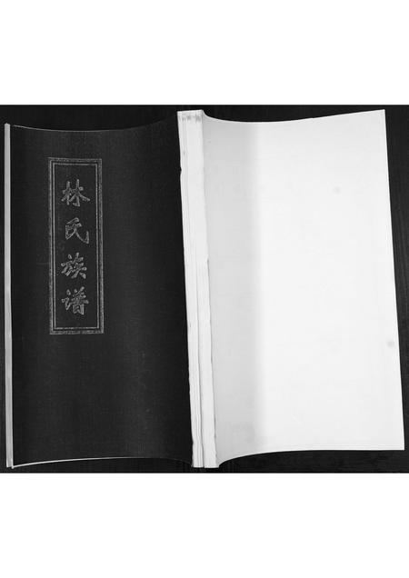 山东林氏-林氏族谱[不分卷].pdf电子版缩略图