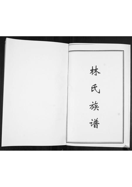 山东林氏-林氏族谱[不分卷].pdf电子版预览图1