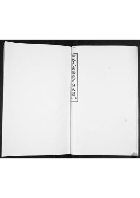 山东林氏-林氏族谱[不分卷].pdf电子版预览图2