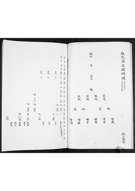 山东林氏-林氏族谱[不分卷].pdf电子版预览图5