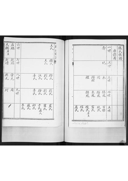 山东林氏-林氏族谱[不分卷].pdf电子版预览图5