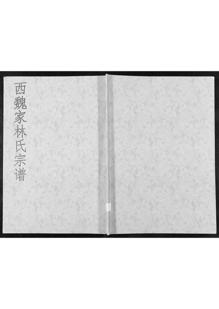 山东林氏-西魏家林氏宗谱[不分卷].pdf电子版缩略图