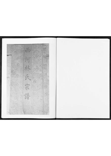 山东林氏-西魏家林氏宗谱[不分卷].pdf电子版预览图1