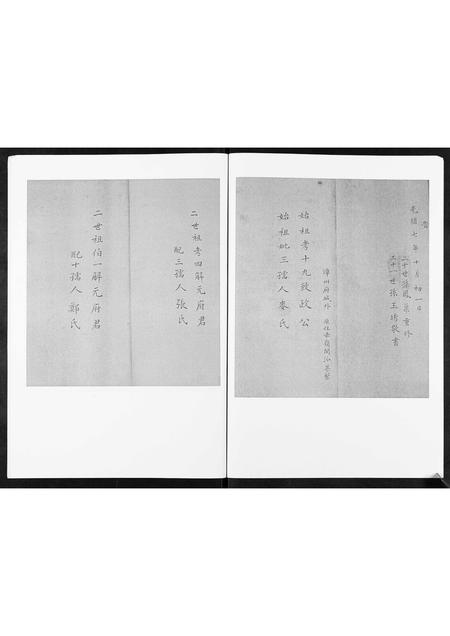 山东林氏-西魏家林氏宗谱[不分卷].pdf电子版预览图3