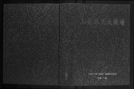 广西林氏-林氏族谱.pdf电子版缩略图