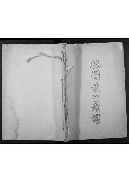 广西林氏-林开运公族谱.pdf电子版缩略图