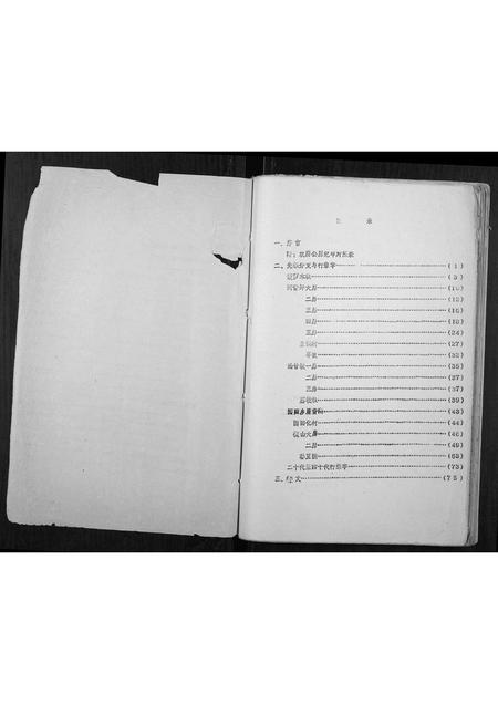 广西林氏-林开运公族谱.pdf电子版预览图1