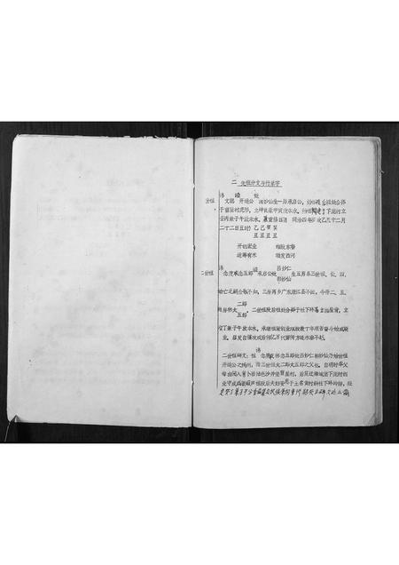 广西林氏-林开运公族谱.pdf电子版预览图4