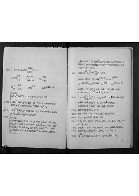 广西林氏-林开运公族谱.pdf电子版预览图5