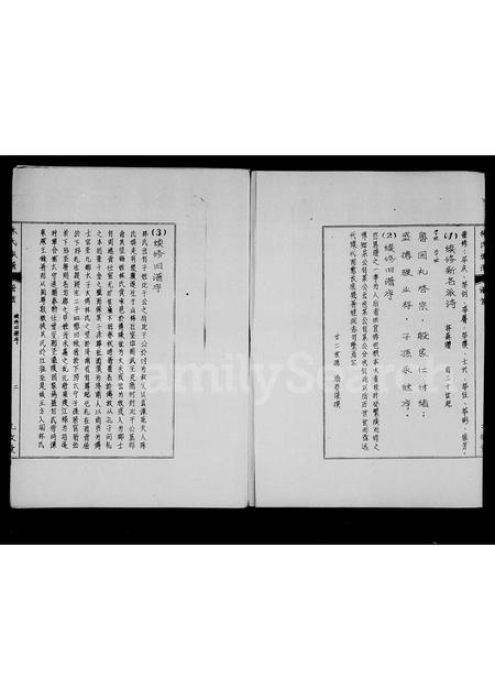 海南林氏-林氏族谱.pdf电子版预览图2