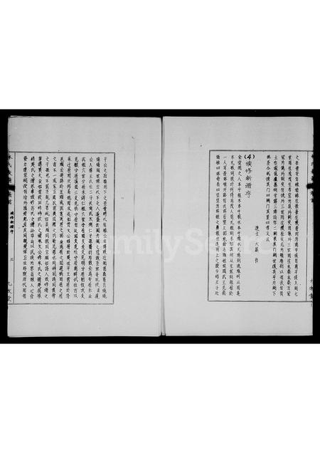 海南林氏-林氏族谱.pdf电子版预览图3