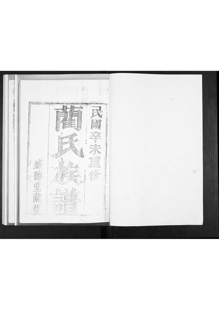 山东蔺氏-蔺氏族谱[不分卷].pdf电子版预览图1