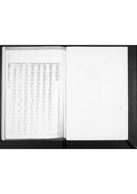 山东蔺氏-蔺氏族谱[不分卷].pdf电子版预览图2