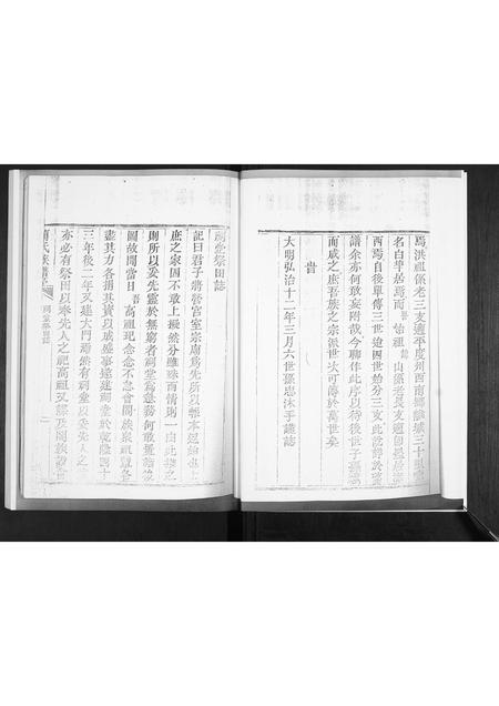 山东蔺氏-蔺氏族谱[不分卷].pdf电子版预览图3