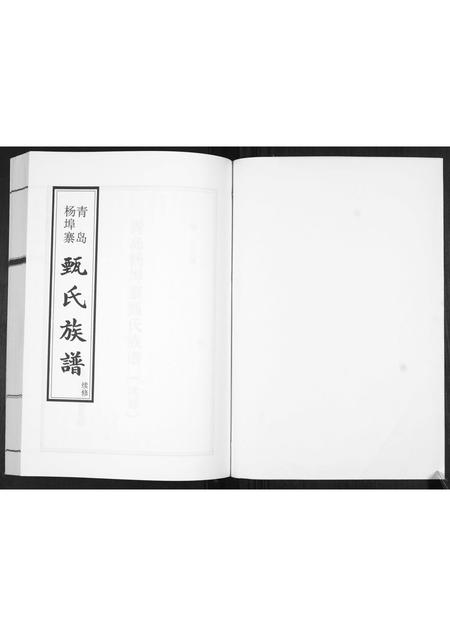 山东蔺氏-蔺氏族谱[不分卷].pdf电子版预览图1