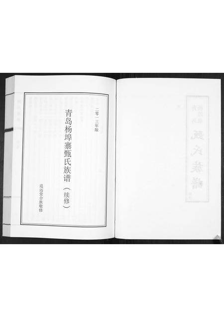 山东蔺氏-蔺氏族谱[不分卷].pdf电子版预览图2