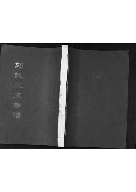 山东刘氏-刘氏三支族谱.pdf电子版缩略图