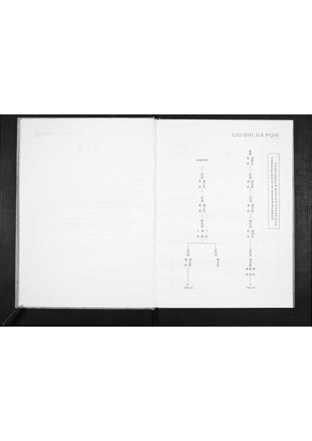 山东刘氏-刘氏家谱.pdf电子版预览图5