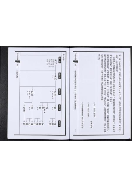 山东刘氏-刘氏家谱.pdf电子版预览图4