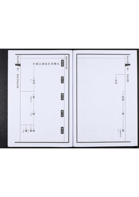 山东刘氏-刘氏家谱.pdf电子版预览图5